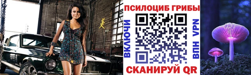 Псилоцибиновые грибы Cubensis  купить   Исилькуль 