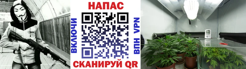 наркотики  Исилькуль  Бошки марихуана ГИДРОПОН 